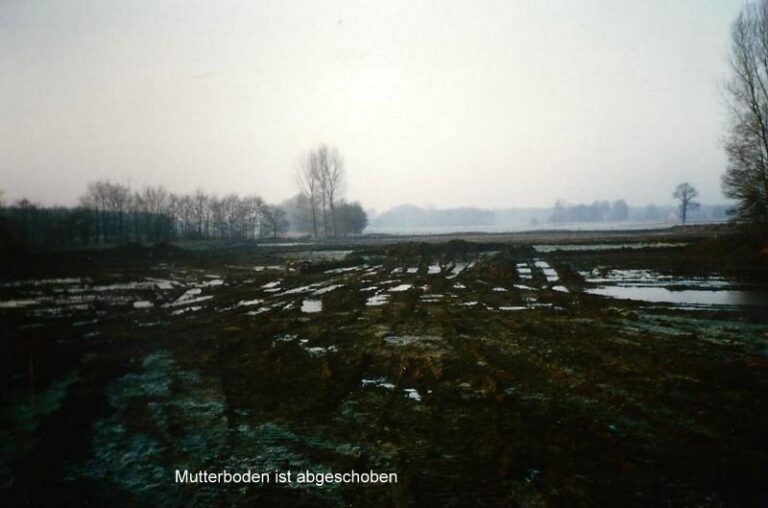 Entstehung Eckholter See – Foto 3