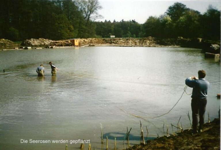 Entstehung Eckholter See – Foto 15